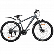 Велосипед 29" ACID F 900 D Gray Flat/Black 2026