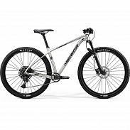 Велосипед Merida Big.Nine NX Edition SilkTitan/Silver 2020